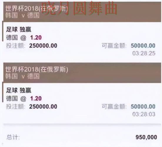 世界杯投注app高手都在关注哪些细节全攻略